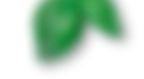 mint-1